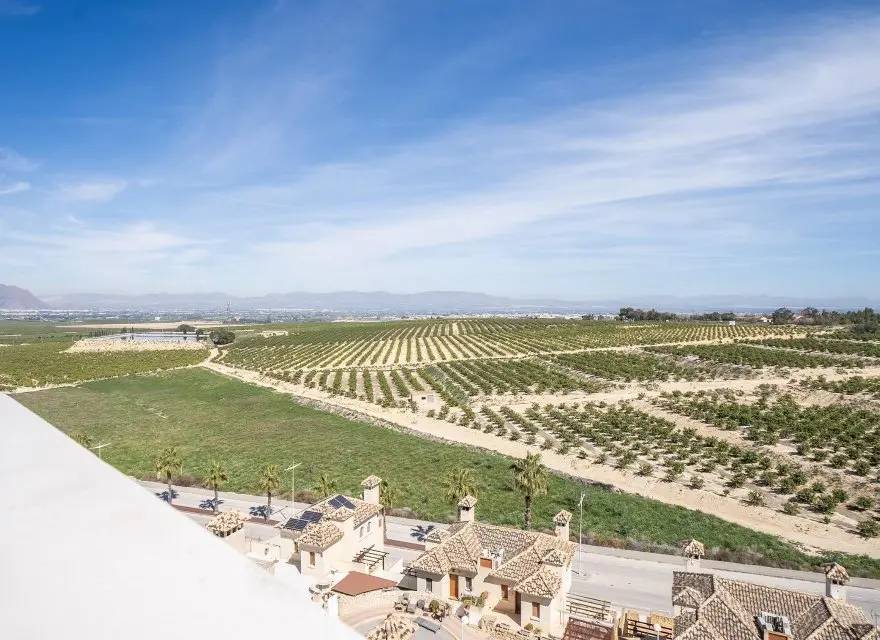 Gotowe Wille z Basenem i Solarium w Ekskluzywnym Resorcie Golfowym — Algorfa, Hiszpania (zdjęcie 6 z 15)