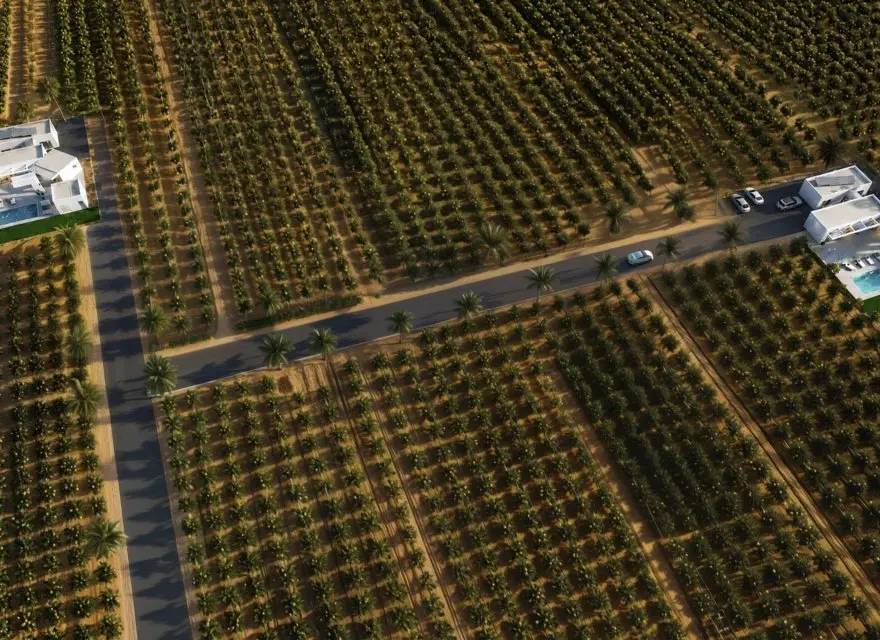Nowoczesna Willa z Basenem na Działce 11 000 m² wśród Gajów Pomarańczowych — Benejúzar, Hiszpania (zdjęcie 8 z 15)