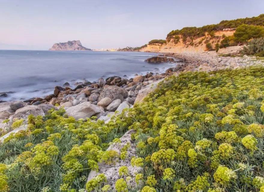 Willa w Stylu Ibizańskim z Basenem 1 km od Plaży La Fustera — Benissa, Hiszpania (zdjęcie 4 z 9)