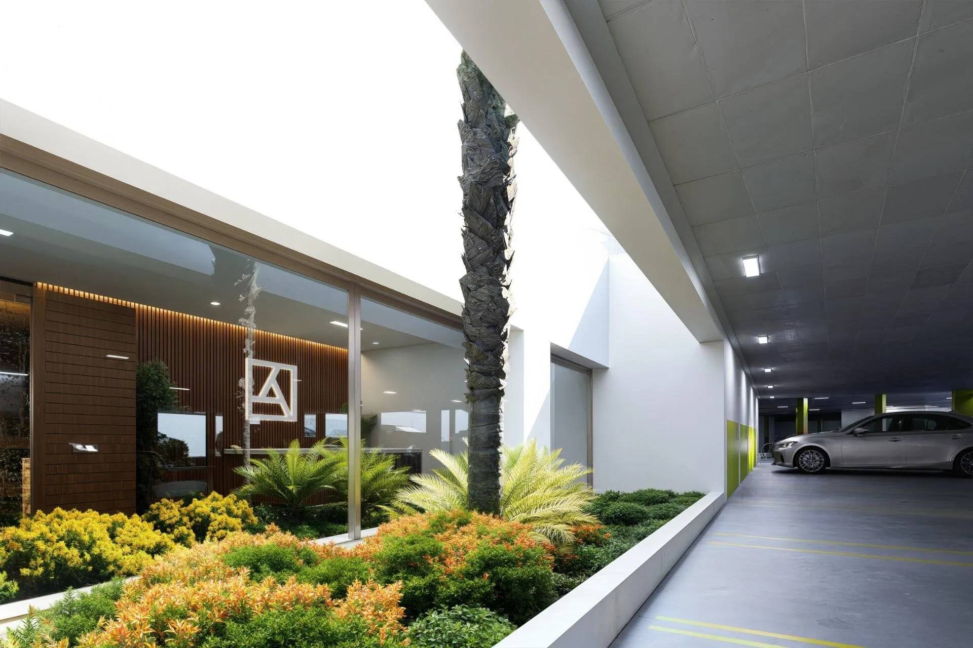 Apartamenty 300 metrów od plaży  — Los Alcazares, Murcia, Hiszpania (zdjęcie 11 z 34)